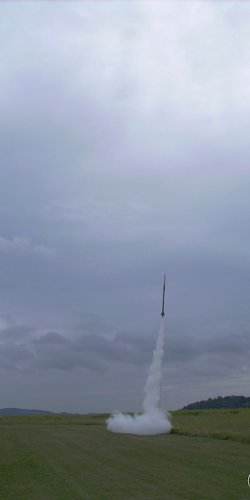 2013 Suche 29062013 Olivera